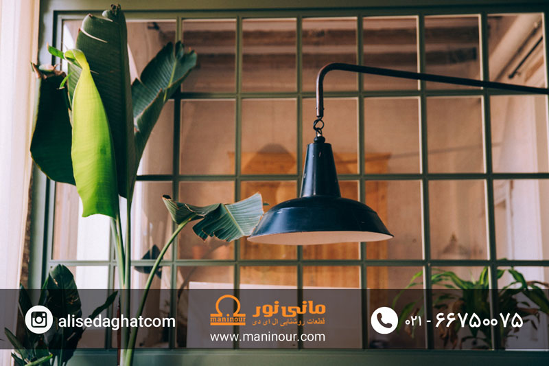 پروژکتور رشد گیاه